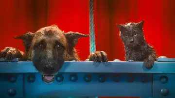 Zasłona do filmu "Psy i koty: Odwet Kitty" #321485