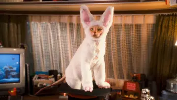 Zasłona do filmu "Psy i koty: Odwet Kitty" #321489