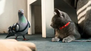 Zasłona do filmu "Psy i koty: Odwet Kitty" #321490