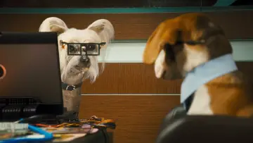 Zasłona do filmu "Psy i koty: Odwet Kitty" #321495