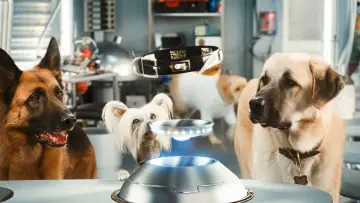 Zasłona do filmu "Psy i koty: Odwet Kitty" #321499