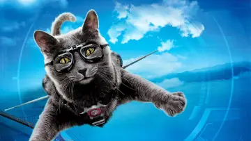 Zasłona do filmu "Psy i koty: Odwet Kitty" #855312