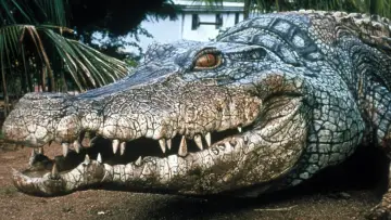 Zasłona do filmu "Crocodile 2: Death Roll" #437704