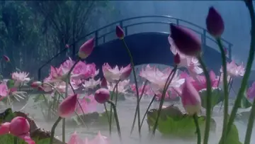 Zasłona do filmu "青蛇" #903052