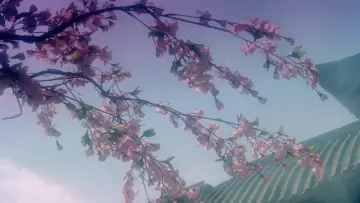 Zasłona do filmu "青蛇" #903067