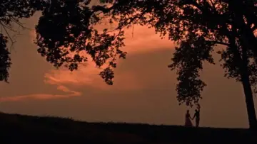 Zasłona do filmu "Picnic" #1652634