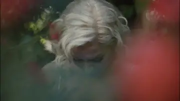 Zasłona do filmu "Blondynka" #696873