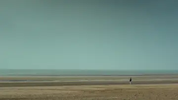 Zasłona do filmu "Umysł przestępcy" #1733006
