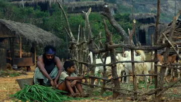 Zasłona do filmu "ഇയോബിന്‍റെ പുസ്തകം" #1622695