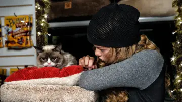 Zasłona do filmu "Grumpy Cat