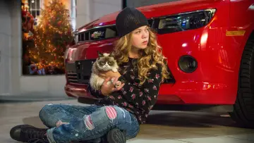 Zasłona do filmu "Grumpy Cat