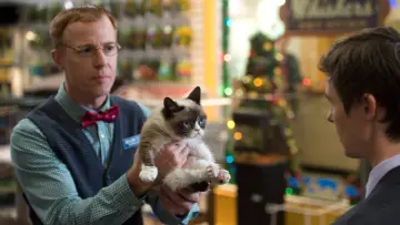 Zasłona do filmu "Grumpy Cat