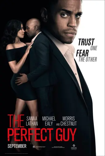 Plakat do filmu "Idealny facet" #159226