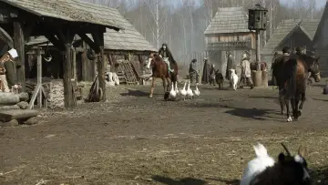 Zasłona do filmu "Wszystkowidząca" #386273