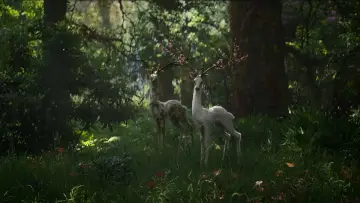 Zasłona do filmu "Anihilacja" #286612