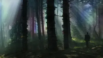 Zasłona do filmu "Anihilacja" #618565