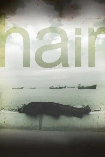 Saç plakat