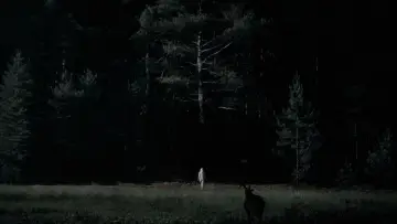 Zasłona do filmu "Czarownica: Bajka ludowa z Nowej Anglii" #1796771