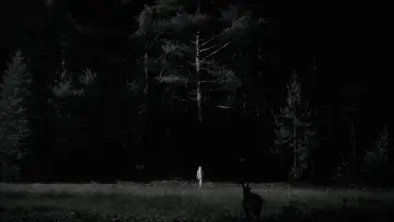 Zasłona do filmu "Czarownica: Bajka ludowa z Nowej Anglii" #1796772