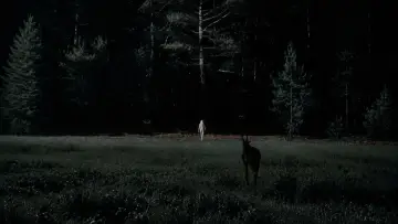 Zasłona do filmu "Czarownica: Bajka ludowa z Nowej Anglii" #1796774