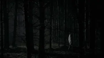 Zasłona do filmu "Czarownica: Bajka ludowa z Nowej Anglii" #600220