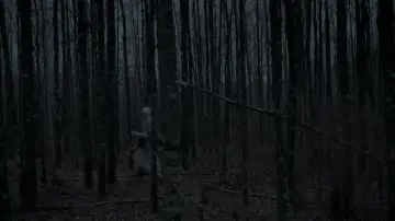 Zasłona do filmu "Czarownica: Bajka ludowa z Nowej Anglii" #600252
