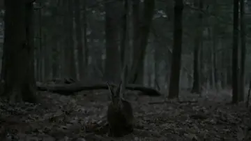 Zasłona do filmu "Czarownica: Bajka ludowa z Nowej Anglii" #600297