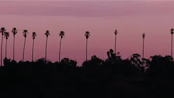 Zasłona do filmu "La La Land" #1214493