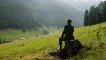 Zasłona do filmu "Młodość" #254258