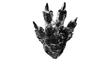Zasłona do filmu "Godzilla: Odrodzenie" #236254