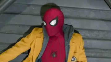 Zasłona do filmu "Spider-Man: Homecoming" #749002