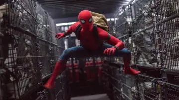 Zasłona do filmu "Spider-Man: Homecoming" #173191