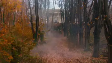 Zasłona do filmu "Król rozrywki" #580215