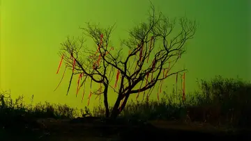 Zasłona do filmu "インプリント〜ぼっけえ、きょうてえ〜" #937716