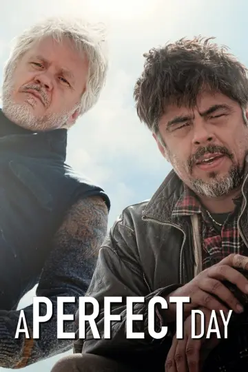 Plakat do filmu "Cudowny dzień" #272807