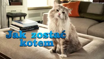 Zasłona do filmu "Jak zostać kotem" #1028533