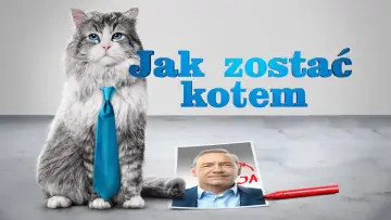 Zasłona do filmu "Jak zostać kotem" #1028536