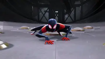 Zasłona do filmu "Spider-Man Uniwersum" #167224