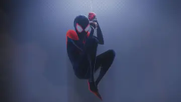 Zasłona do filmu "Spider-Man Uniwersum" #518399