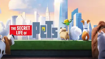 Zasłona do filmu "Sekretne życie zwierzaków domowych" #152748