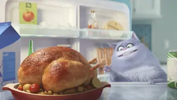 Zasłona do filmu "Sekretne życie zwierzaków domowych" #293685
