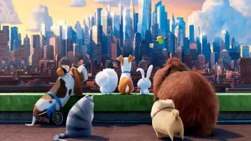 Zasłona do filmu "Sekretne życie zwierzaków domowych" #293686