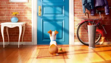 Zasłona do filmu "Sekretne życie zwierzaków domowych" #293689
