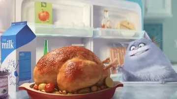 Zasłona do filmu "Sekretne życie zwierzaków domowych" #293698