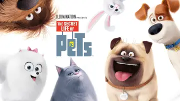 Zasłona do filmu "Sekretne życie zwierzaków domowych" #787674