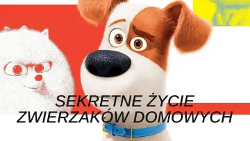 Zasłona do filmu "Sekretne życie zwierzaków domowych" #787677