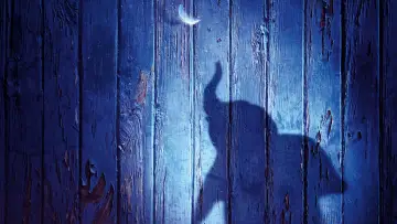 Zasłona do filmu "Dumbo" #273845