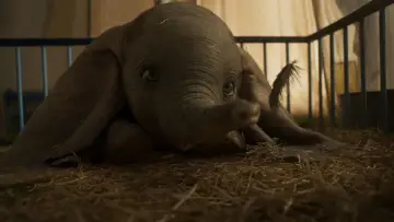Zasłona do filmu "Dumbo" #273846