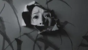 Zasłona do filmu "雁の寺" #1568459