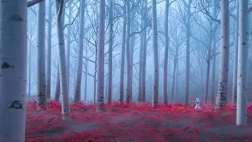 Zasłona do filmu "Kraina lodu II" #576006